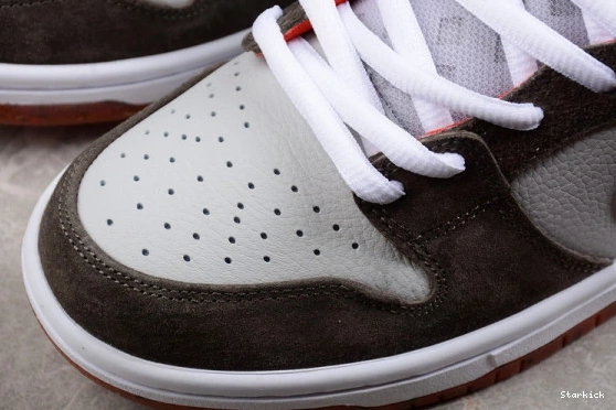 Nike Crushed 001 SB x D.C. Low DH7782 Dunk 1115